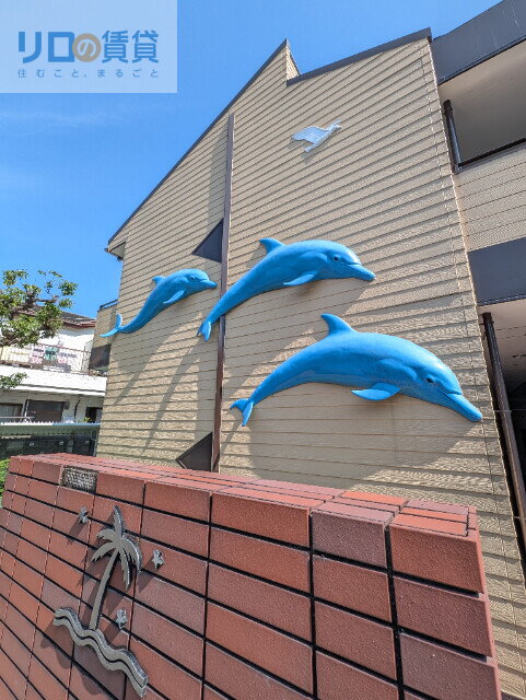 カリフォルニアドリーム