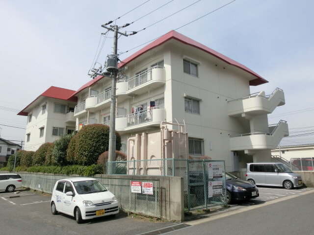 シャインクロコ