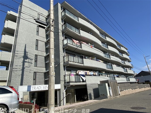 トラッド・セヴェル