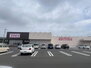 エクセレントガーデン風の杜　Ｃ ディスカウントドラッグ　コスモス　友部旭町店（ドラッグストア）まで1508m