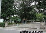 コンフォート　Ｔ 松葉公園（公園）まで350m