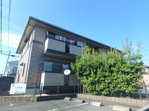 ウィルモア　ＷＡＤＡ