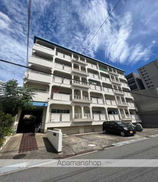 大阪府大阪市住吉区南住吉２丁目 築50年11ヶ月 5階建