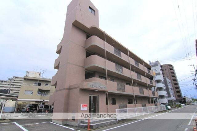 セレーノアカマツ