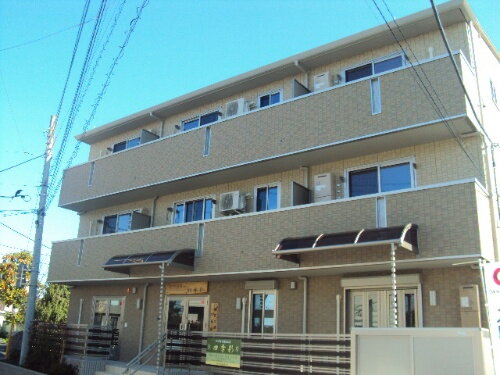 プリムローズ　Ⅲ