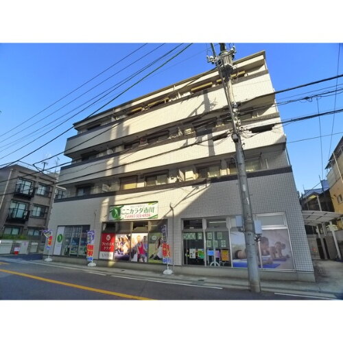 千葉県市川市新田１丁目 賃貸マンション