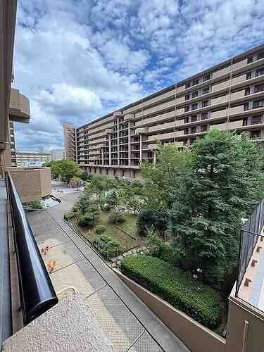 京都府京都市中京区壬生天池町 賃貸マンション