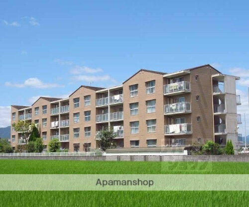 京都府京都市伏見区羽束師菱川町 賃貸マンション