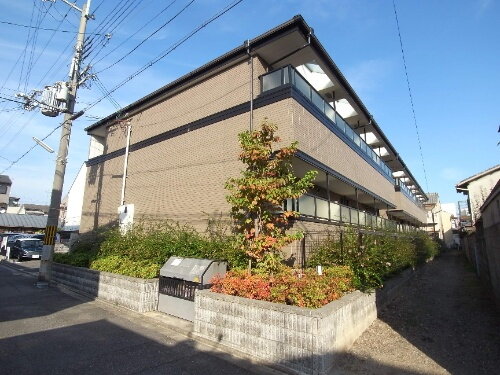 ビューティー藤ノ木