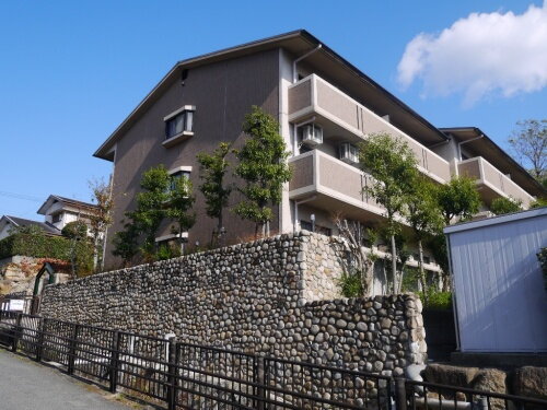 兵庫県芦屋市朝日ケ丘町 賃貸マンション