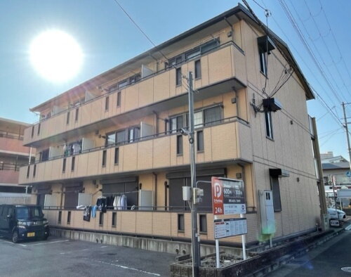 サザングレイス