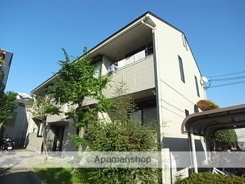 コーラルコートミツマツ