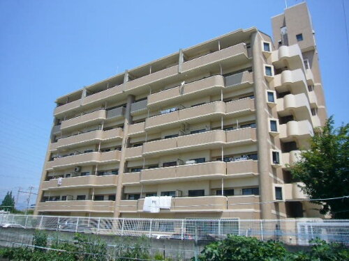 ラフィネセオミ