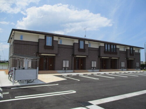 ハイビスカス　Ⅱ