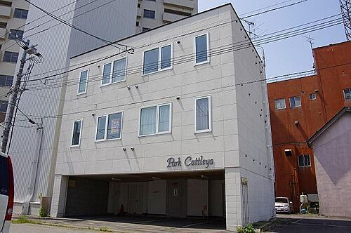 パークカトレア 旭川駅 1SLDK 賃貸(賃貸マンション・アパート)