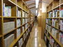 栃木県立図書館 1049m