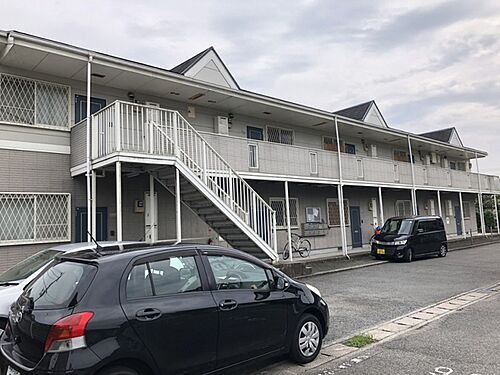 ＡＭＢＥＲ　ＰＥＡＲＬ（アンバーパール）