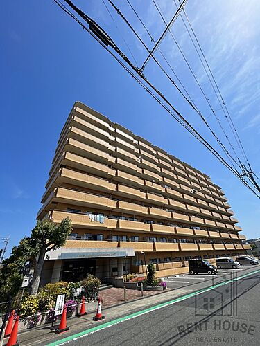 大阪府泉南市樽井７丁目 10階建 築32年