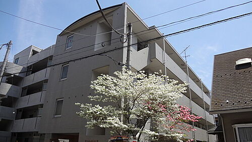 東京都八王子市千人町３丁目 4階建 築31年4ヶ月