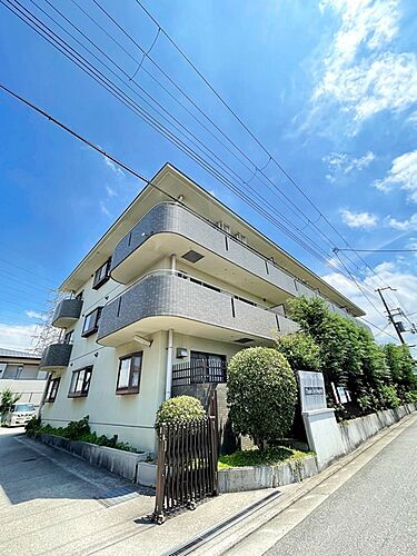 大阪府堺市堺区緑ヶ丘中町２丁 賃貸マンション