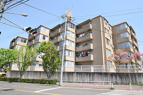 大阪府吹田市千里山東４丁目 5階建 築49年2ヶ月