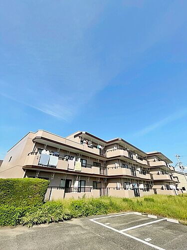 大阪府堺市西区浜寺諏訪森町西３丁 賃貸マンション