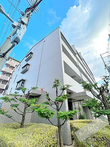 大阪府大阪市東住吉区杭全４丁目 賃貸マンション