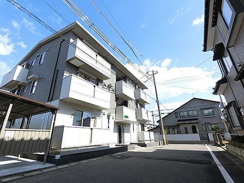 オリーブ　ＩＩ