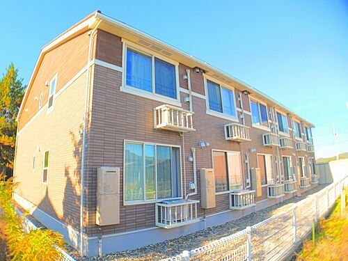 ルーチェバンビーナ