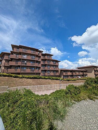 京都府京都市山科区北花山西ノ野町 6階建 築45年