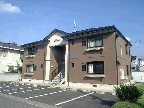 もみの木