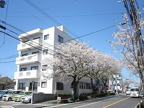 鹿児島県鹿児島市紫原７丁目 賃貸マンション