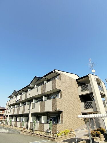 大阪府堺市東区西野 3階建 築19年5ヶ月