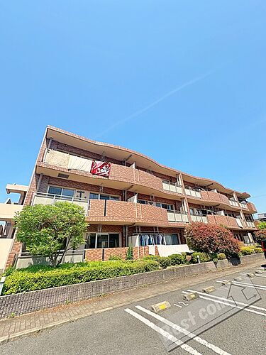 和歌山県海南市大野中 3階建