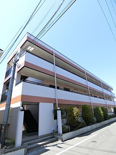 大阪府泉大津市宮町 3階建 築24年11ヶ月