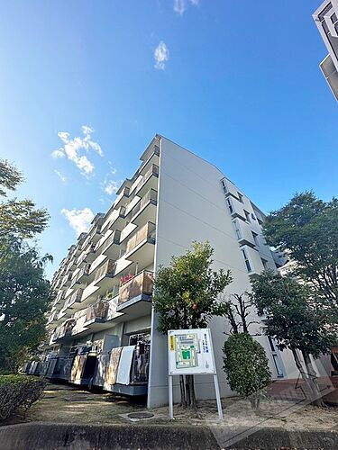 大阪府松原市天美我堂１丁目 14階建 築40年11ヶ月