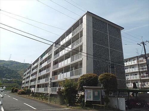 大阪府三島郡島本町青葉３丁目 5階建 築52年9ヶ月