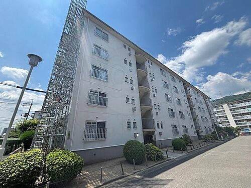 水無瀬青葉ハイツ１０号棟