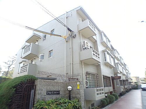 兵庫県神戸市東灘区御影２丁目 賃貸マンション