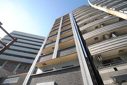 大阪府大阪市西区本田２丁目 10階建 築5年7ヶ月