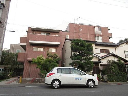 フォレストコート