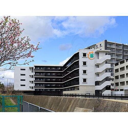 大阪府茨木市天王１丁目  5階建
