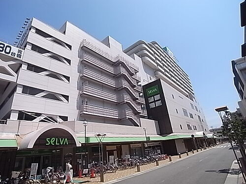 兵庫県神戸市東灘区森南町１丁目 13階建 築33年2ヶ月