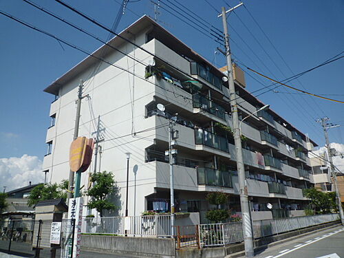 兵庫県尼崎市東難波町３丁目 5階建 築39年8ヶ月