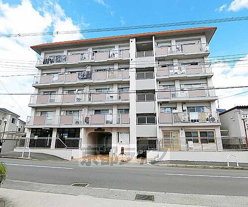 京都府長岡京市滝ノ町２丁目 築42年8ヶ月 5階建