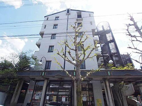 京都府京都市右京区嵯峨新宮町 賃貸マンション