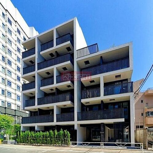 ＲＯＯＴｓ　Ｓｈｉｂｕｙａ　Ｈｏｎｍａｃｈｉ