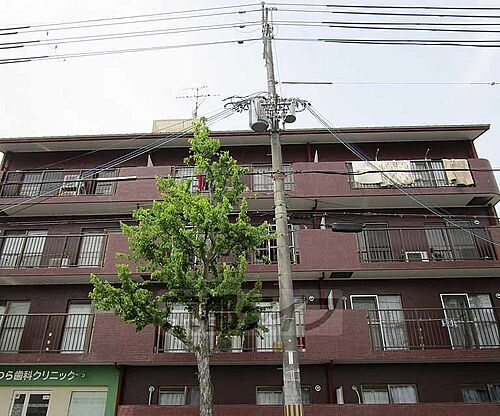 京都府京都市西京区川島滑樋町 賃貸マンション