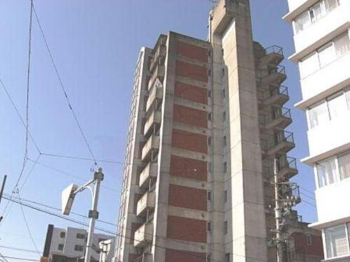 第３シャトーこがね