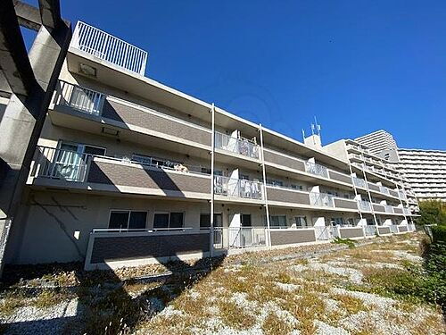 兵庫県神戸市須磨区南落合１丁目 賃貸マンション